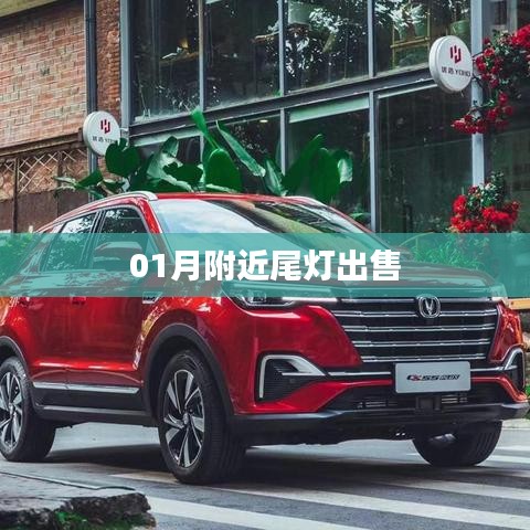 01月附近高品质尾灯出售，款式多样！