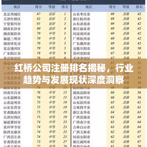 红桥公司注册排名揭秘,行业趋势与发展现状深度洞察