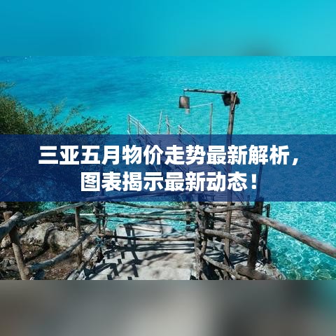 三亚五月物价走势最新解析,图表揭示最新动态!