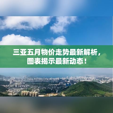 三亚五月物价走势最新解析,图表揭示最新动态!