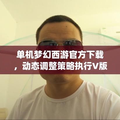 单机梦幻西游官方下载，动态调整策略执行V版v10.209，全面评测介绍