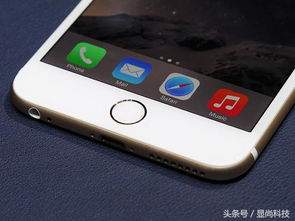 苹果6plus最佳系统版本,平衡性策略实施指导_户外版1_v10.280