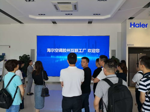 quik官方下载,实地考察分析-特供版_v2.836