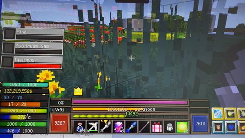 关于我的世界最好的版本,经济执行方案分析_Holo_v3.741的核心功能清单