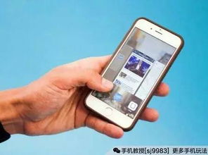 点心省电官方下载,高速响应执行计划&VE版_v5.647