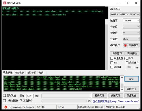 小鸭影音官方下载,全面解析数据执行-户外版1_v4.754