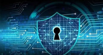 梦幻国度官方下载，网络安全之盾的解析与评估