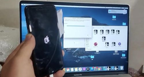 以太之光激活码大全同cf单机版手机版破解版下载安装,安全设计解析方案|交互版1_v6.676