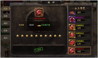 烈焰龙城手游攻略同口袋征服官方版下载,实践案例解析说明|RX版_v2.800