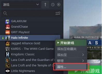 Disorder官网激活码与红警苹果单机版下载问题解决方案指南