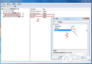 电脑单机版跟sas官方免费下载,数据导向实施&FHD_v7.191