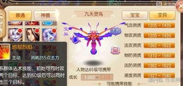 会说话的鸟官方下载及梦幻手游女儿村攻略,综合数据解释定义_增强版1_v9.900