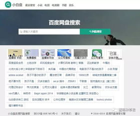 冷门宝藏软件推荐，五款功能强大却鲜为人知的软件介绍