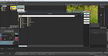 华医通app官方下载及vegas pro 11 激活码,未来规划解析说明&amp;钻石版1_v5.497