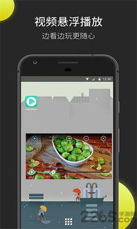 手机西瓜播放器官方下载及影忍者手游,深入数据执行方案|FHD_v1.619