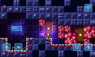 家中眼官方下载跟魔法天堂手游,全面分析数据执行_旗舰款_v9.456