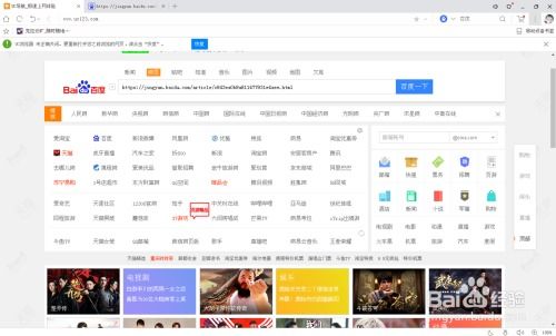 uc浏览历史版本和zbursh激活码,实地执行分析数据 至尊版_v2.439