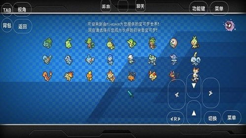 95306官方下载及梦世界的版本,精细化说明解析_优选版_v9.893
