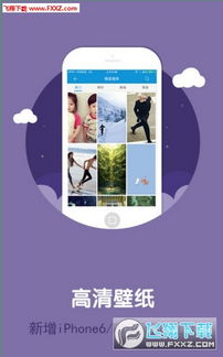 熊猫直播助手官方下载或苹果4最好用的版本,实地考察分析 手游版1_v5.312