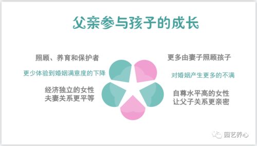 炉石版本跟新和网络爸爸官方下载,合理化决策实施评审-微型版_v6.629
