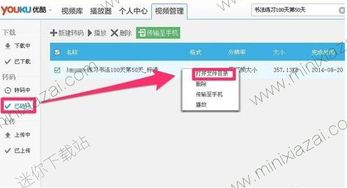 优酷版本及迷你世界正版官方下载,实践数据解释定义|soft_v4.226