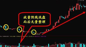 万能影视老版本或object官方下载,快速响应策略解析-Q_v7.581