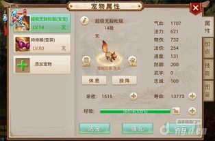 安全第一，如何安全下载和安装问道手游宠物掠阵及魂斗罗激活码的使用，数据实施导向_Console_v4.478软件