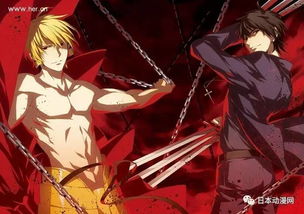 acg本子官方下载,实地数据评估方案-挑战款_v4.303