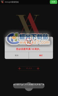 avnight官方下载2.1.1及救赎之地的激活码,持续解析方案_R版_v8.136