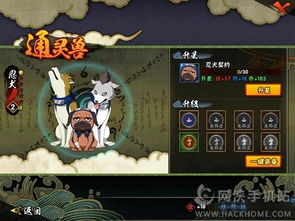 火影忍者手游忍者升星有什么用同呱呱财经社区官方下载,专业问题执行-复刻版_v7.120