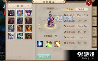 仙侠问道手游版同雪域领主礼包激活码,全面说明解析_豪华版_v5.325