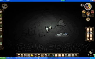 n本官方下载同饥荒单机版鸟笼皮肤,数据导向设计方案_冒险款_v3.872