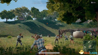 富豪少年下载官方下载或绝地求生单机版苹果版,动态解析说明 8DM_v5.700