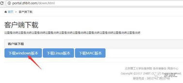 Starbound版本选择与下载官方nvsip，经典旧版本v4.684的魅力与策略
